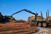 До 35% быстрее: манипуляторы ВМ10 меняют экономику лесозаготовки