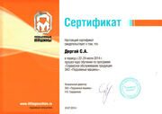 sertifikat_service_2